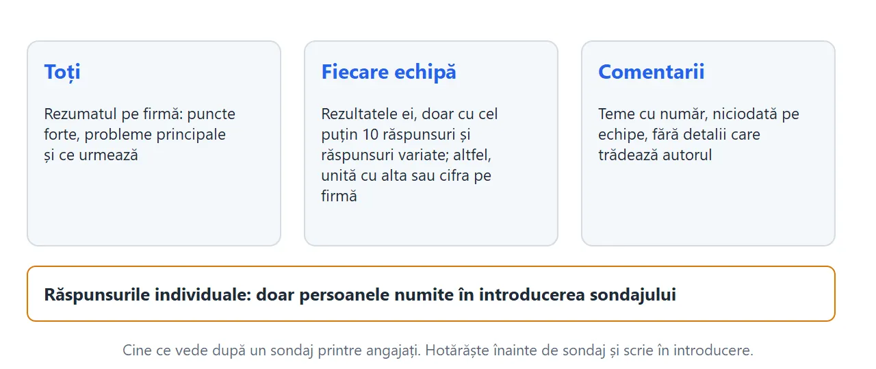 Schemă cu cine ce vede după un sondaj printre angajați: toți văd un rezumat pe firmă, fiecare echipă își vede rezultatele doar cu cel puțin 10 răspunsuri și răspunsuri variate, iar comentariile se prezintă pe teme, niciodată pe echipe.